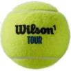 WILSON TOUR PREMIER ALL CT 3 BALL CAN (WRT109400) ΜΠΑΛΑΚΙΑ